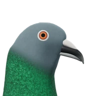 Hala